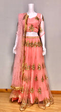 Load image into Gallery viewer, Boutique Design Lehenga
