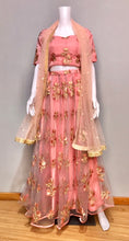 Load image into Gallery viewer, Boutique Design Lehenga
